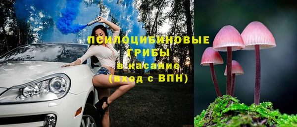 винт Мегион