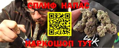 прущие грибы Волгодонск