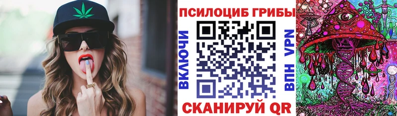 где найти наркотики Карачаевск Галлюциногенные грибы Cubensis