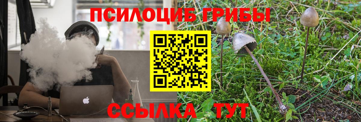где найти наркотики  Псилоцибиновые грибы мицелий  Вход с VPN  Карачаевск 