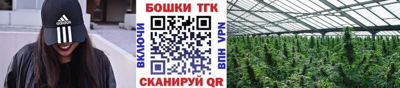 МАРИХУАНА планчик  ссылка на мегу зеркало  мориарти телеграм  Карачаевск 